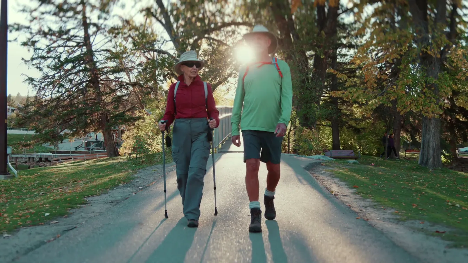 A couple walking a tree-lined path into low morning sun